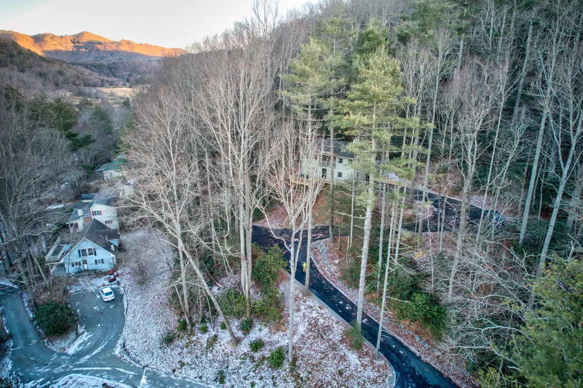 A view of majestic pine trees and a gently curving driveway with a backdrop of snow-dusted ground and distant mountain views. The expansive outdoor space is ideal for walking, exploring, and enjoying peaceful nature moments with a pet.